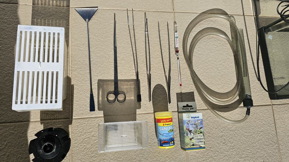 Aquário com kit de água quente e plantas