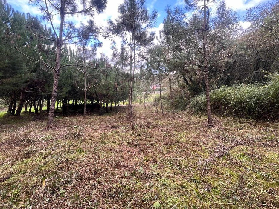 Arrendo Terreno para cultivo e lazer