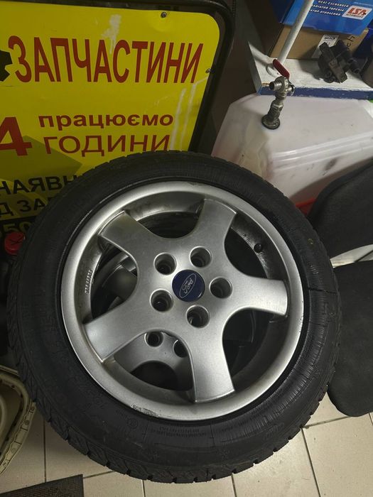 Ризина нова зимова