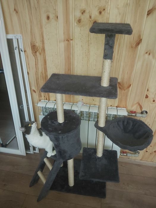 Когтеточка, домик для кота