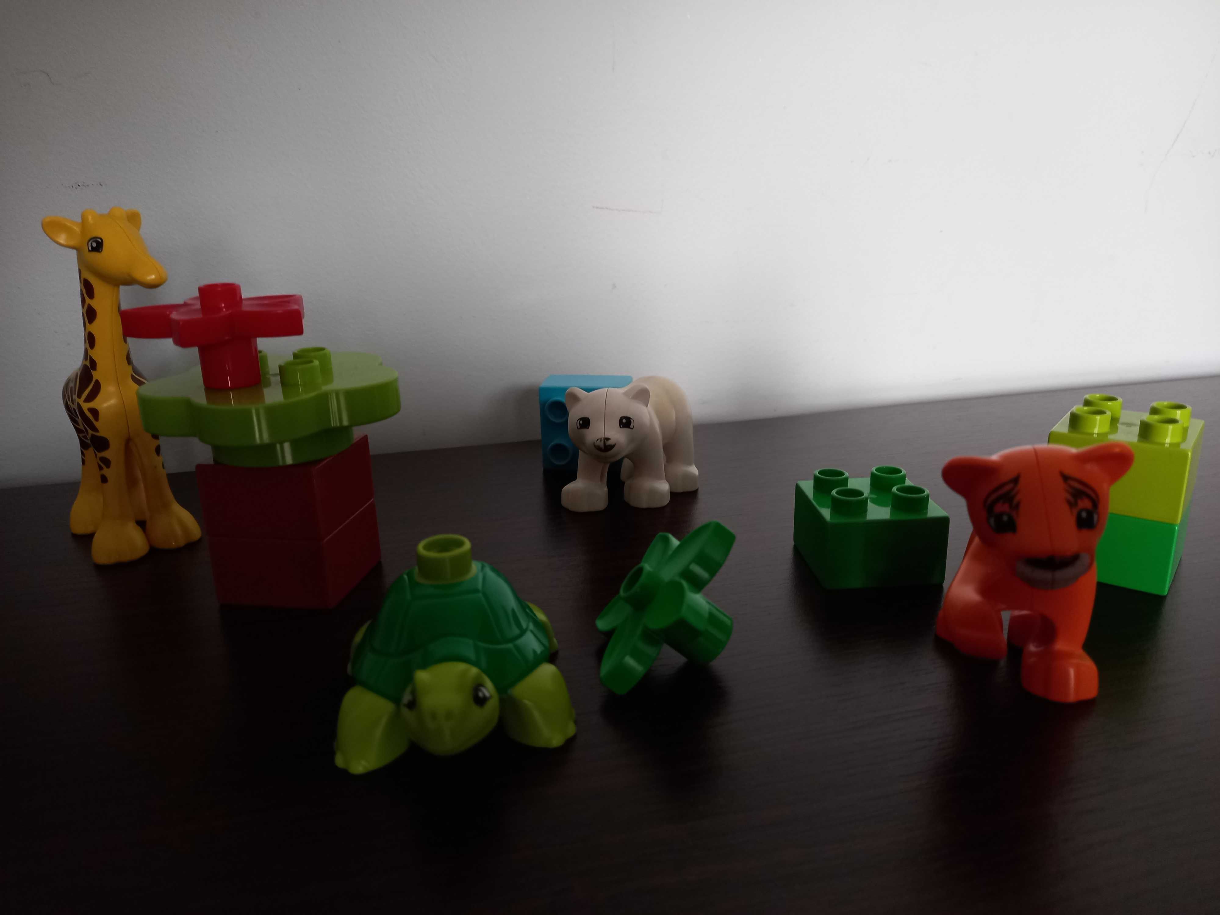 Lego Duplo 10801 - Zwierzęta.