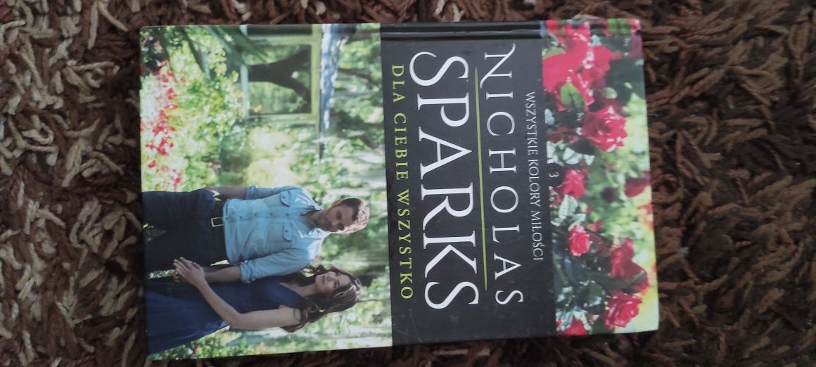 Dla Ciebie Wszystko Nicholas Sparks
