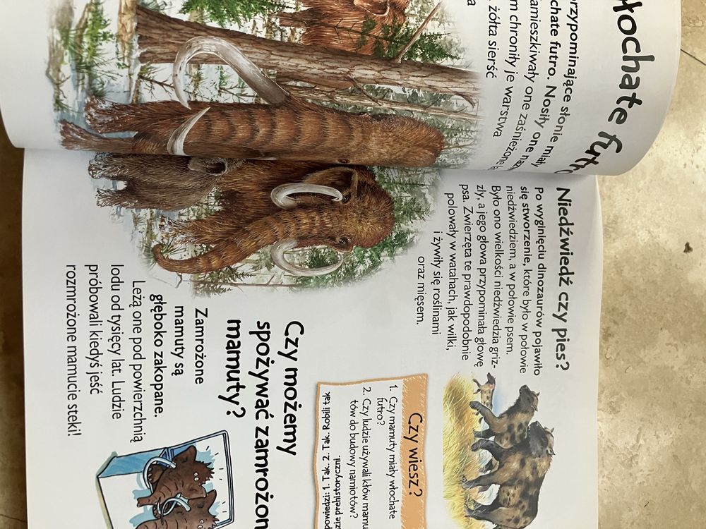Encyklopedia najmłodszych