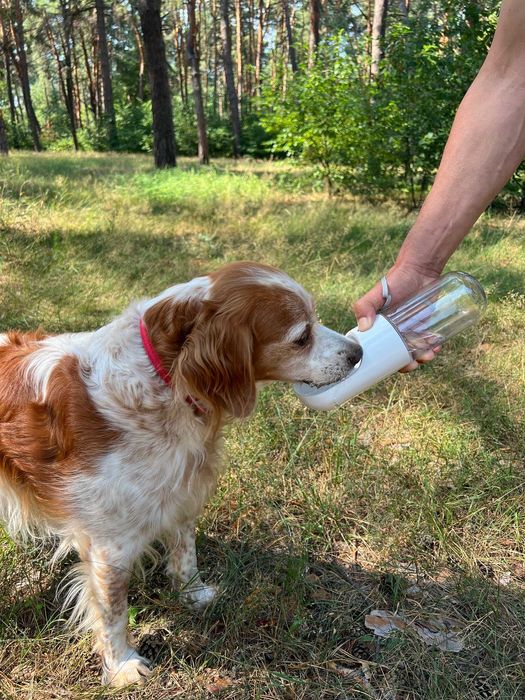 Бутылка-поилка для собак и котов дорожная, 400мл. 275 грн