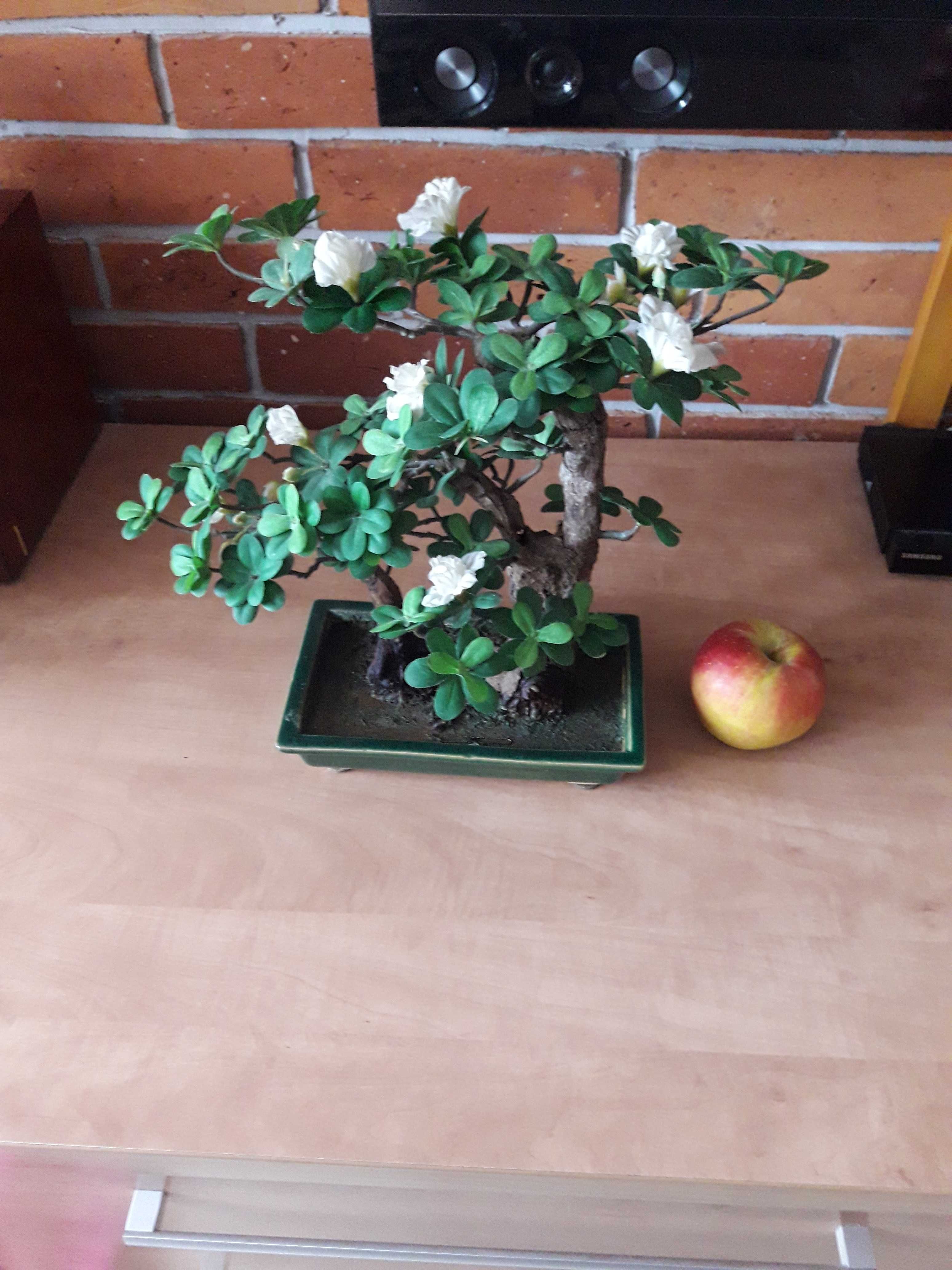 Sztuczny kwiat  bonsai