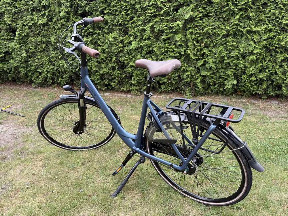 Gazelle Orange C7+