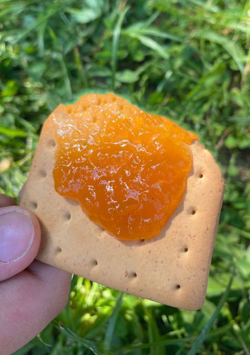 Польський сухий пайок/сухпай Польші