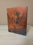 Gra na PS3 Castlevania Lords of Shadow 2 Steelbook EN unikat ideał.