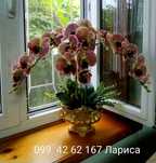 Искусственные орхидеи как живые!