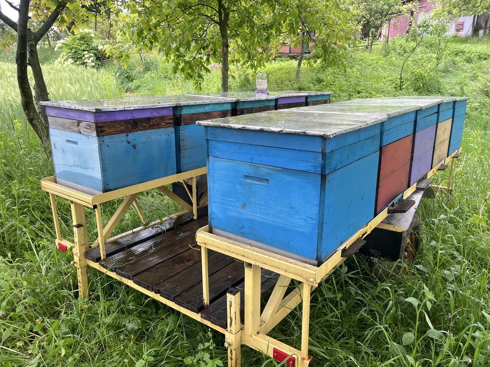 Продам бджолопавільйон
