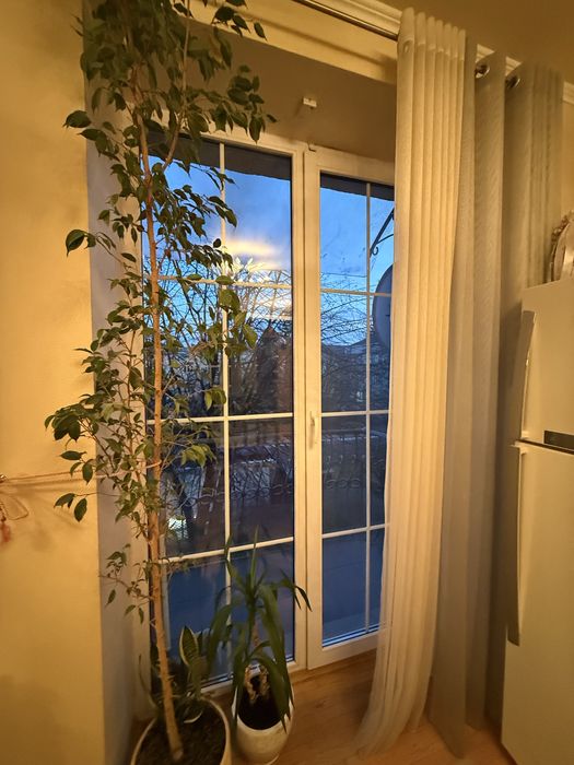 Прев'ю фото 14