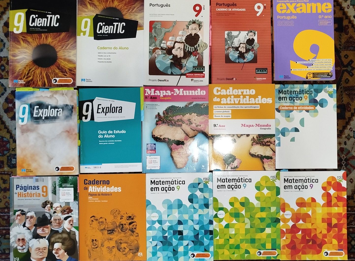 Livros manuais escolares do 9° ano até 15€
