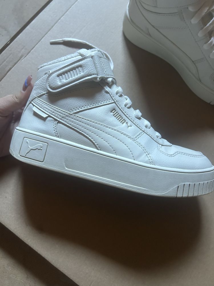 Puma Carina Street