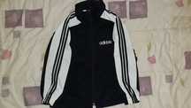 Casaco adidas novo