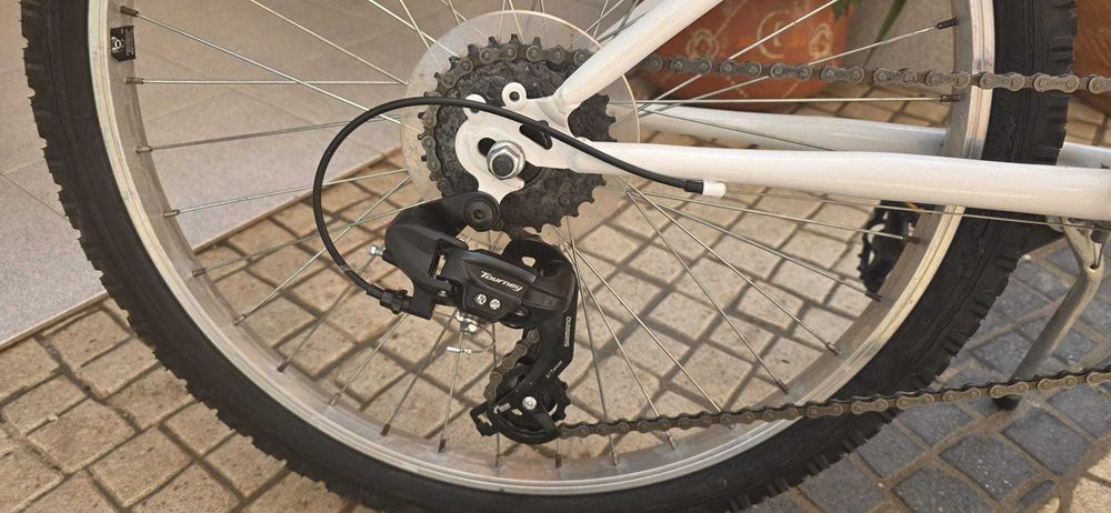 Bicicleta Venus roda 20