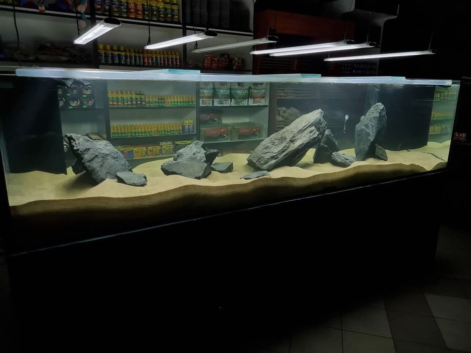 Zakładanie/serwis akwarystyczny