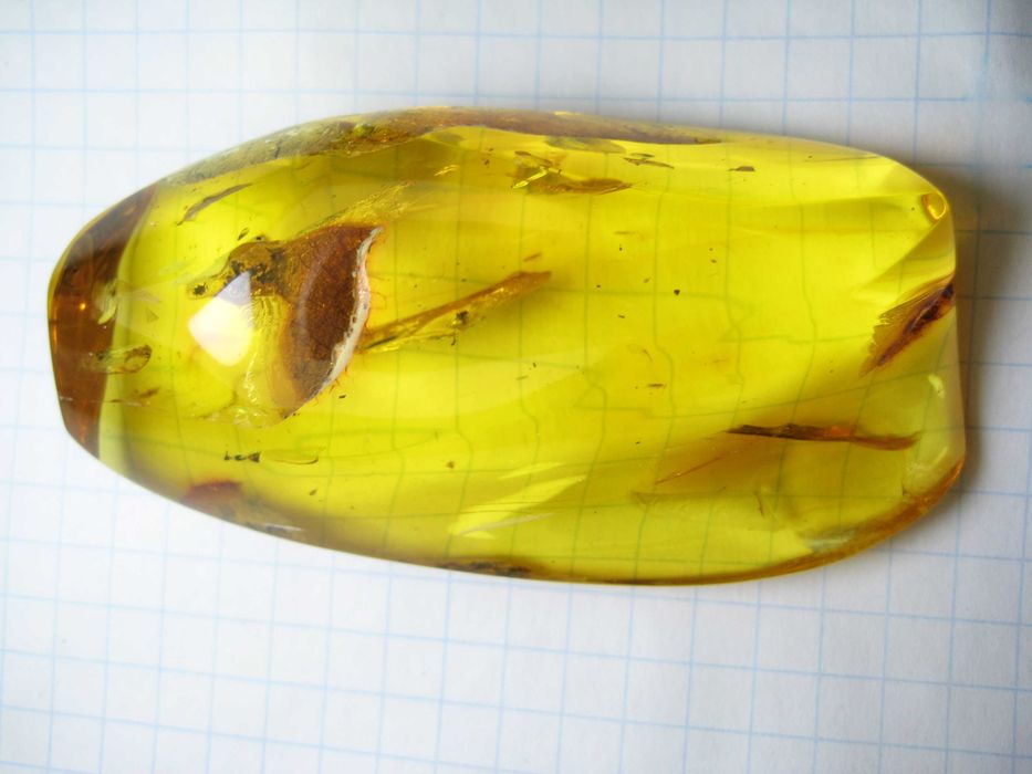 Чудовий подарунок.Янтарь натуральный 28,4 грамма с насекомым внутри