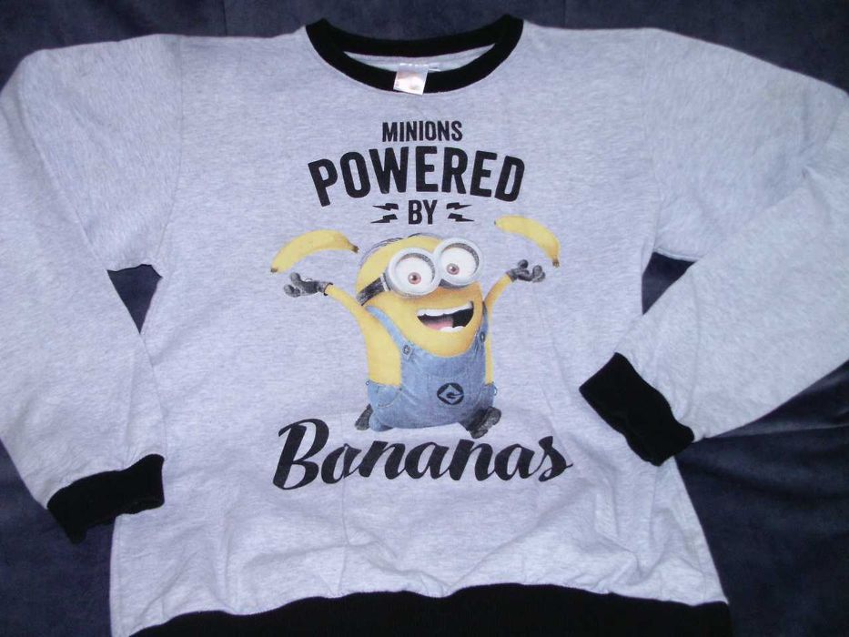 Кофта тепла светр реглан світшот миньйон  DISNEY Minions