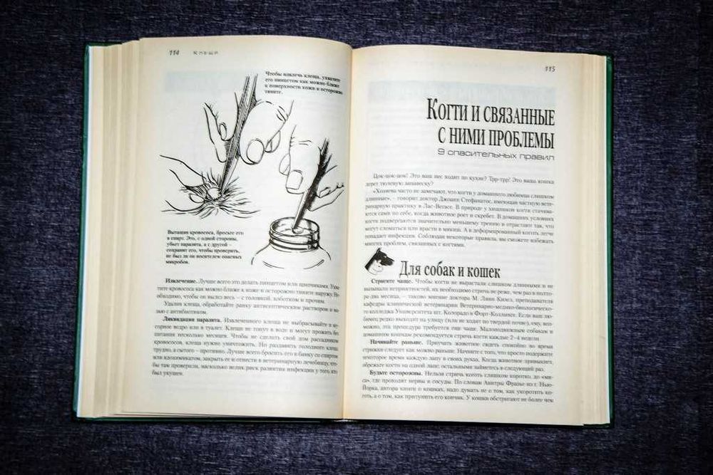 Советы американских ветеринаров. Домашний доктор для кошек и собак