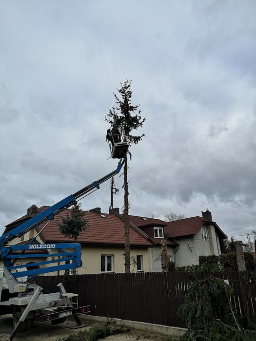 Wycinka drzew usuwanie karp wywóz karp czyszczenie działek