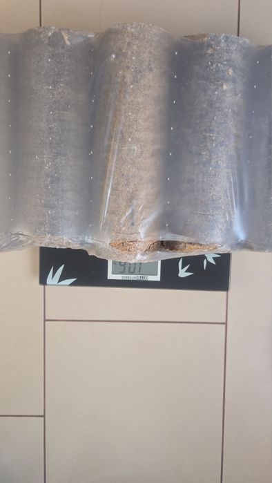 Паливні брикети Бук