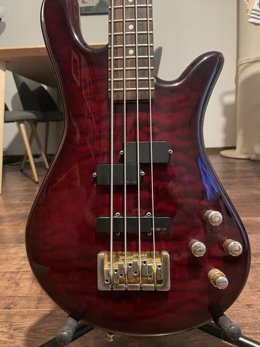 Spector legend 4 classic Korea