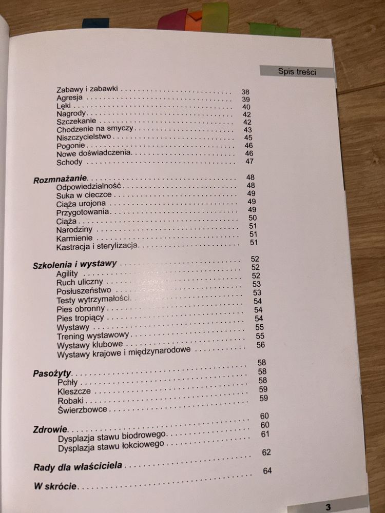 Poradnik jak zajmować sie owczarkiem niemieckim