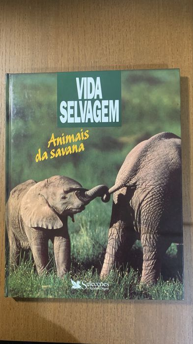 Vida selvagem - Animais da savana,