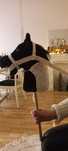 Hobby horse akcesoria