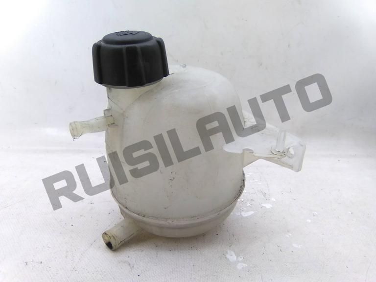 Depósito / Vaso Agua Radiador  Renault Clio Ii [1998_2012] 1.5