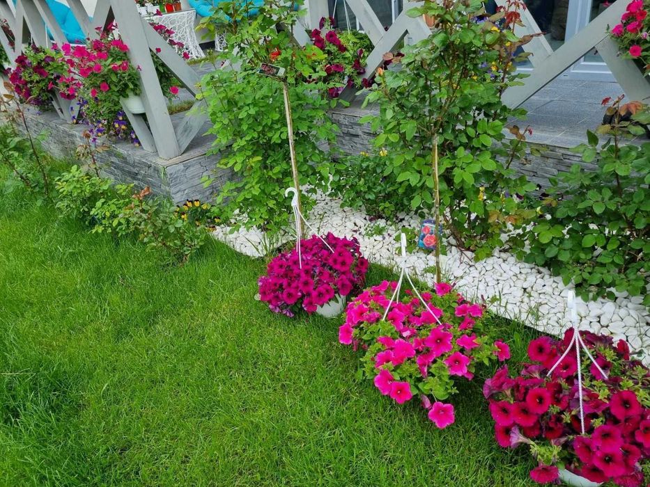 Здам ВІП  будинок