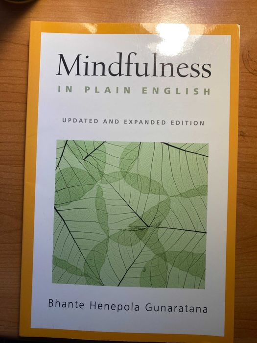 Mindfulness in Plain English – Livro em Excelente Estado