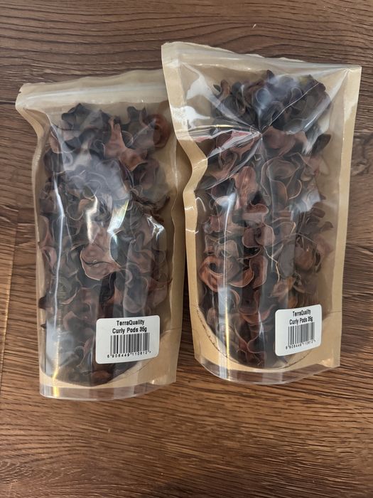 Curly Pods naturalny wystrój - dwa opakowania