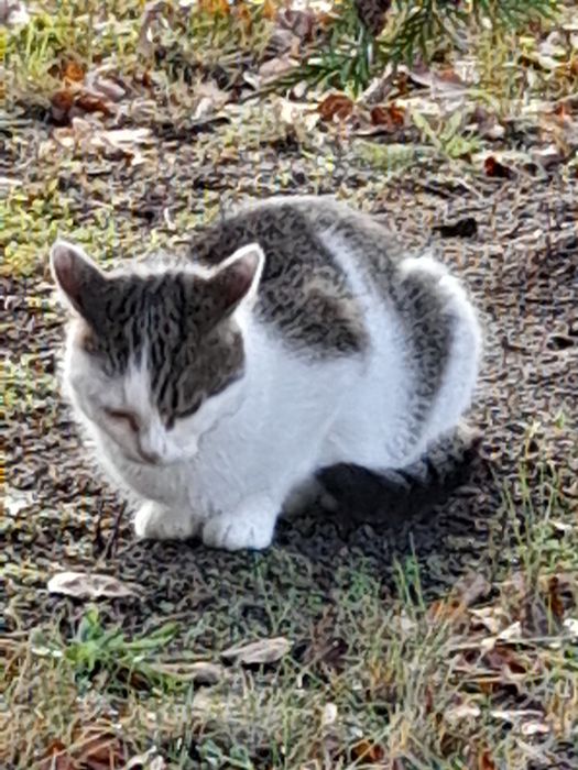 Oddam domu wychodzacego