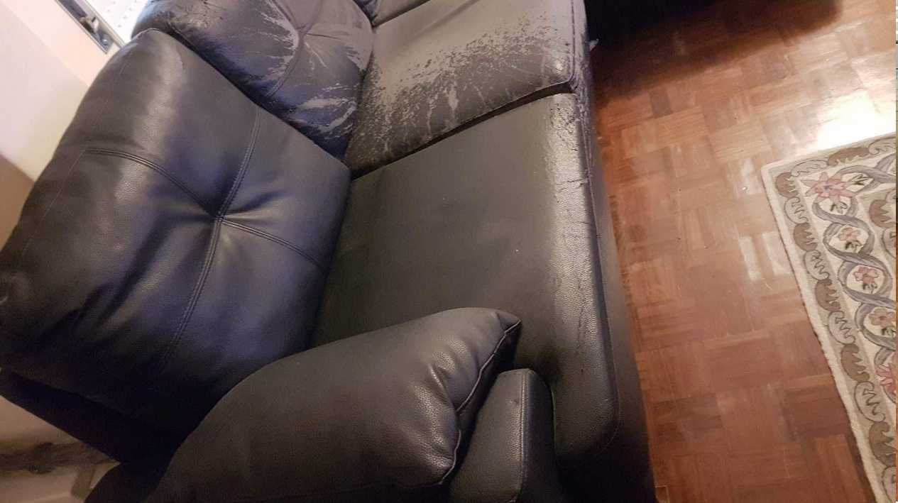 Sofa Chaise Longue a precisar de ser estufado