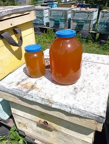 Мёд  мед натуральный медок