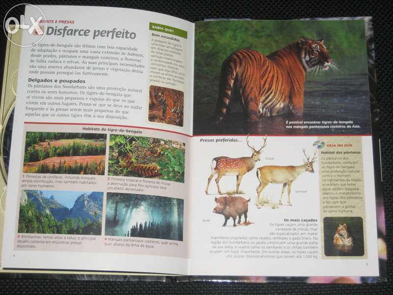 Tigres dos Pântanos, com DVD vídeo
