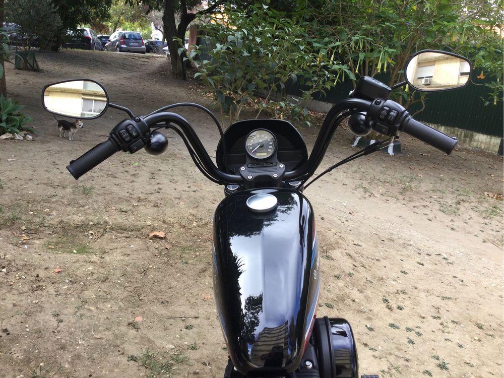 Harley-Davidson  XL Iron 1200