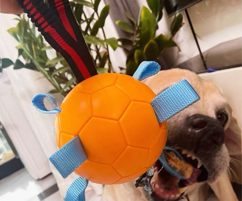 Мʼяч для собак іграшка