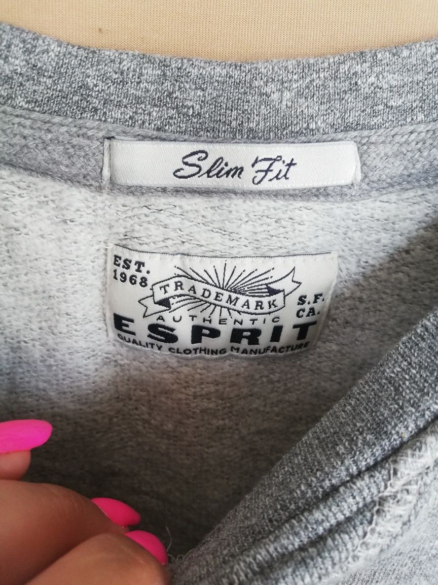 Esprit R. XL męska szara bluza bez kaptura