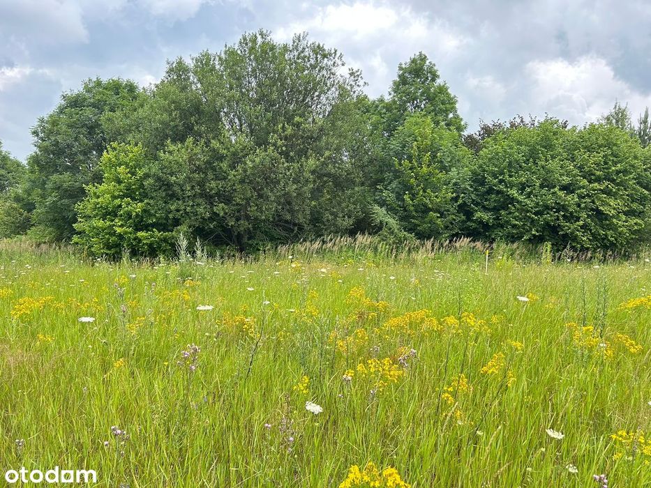 Działka budowlana, uzbrojona, blisko zamku