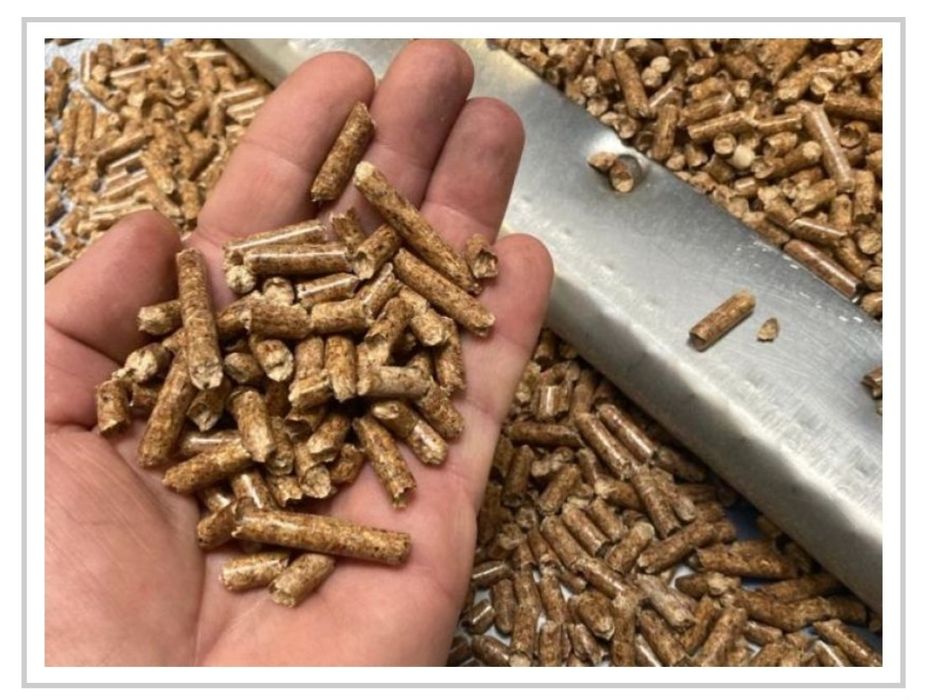 Pellet BESKIDY ENplus A1 Polski pelet certyfikowany również Olczyk