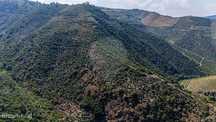 Terreno  para venda
