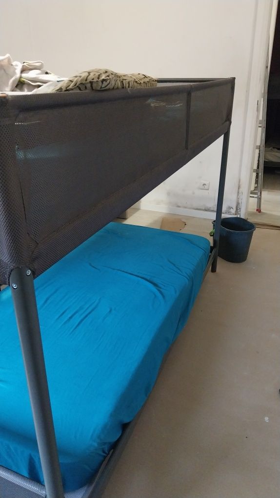 Beliche cinzento .