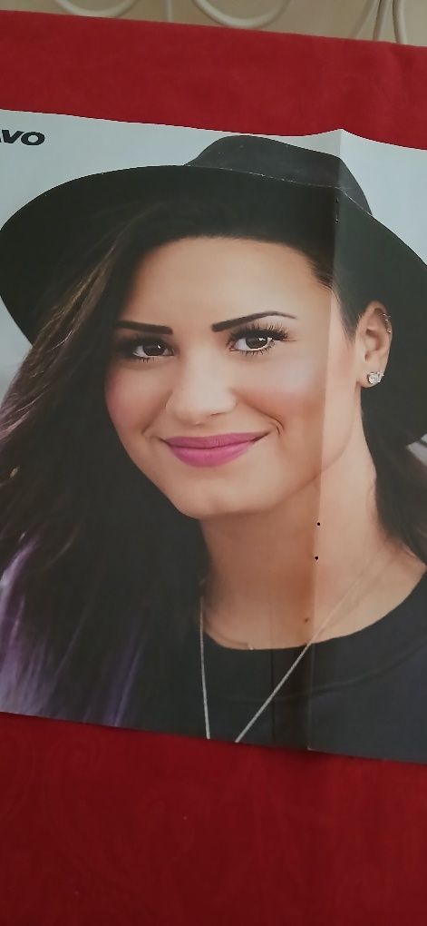 Poster One Direction/Demi Lovato, novo