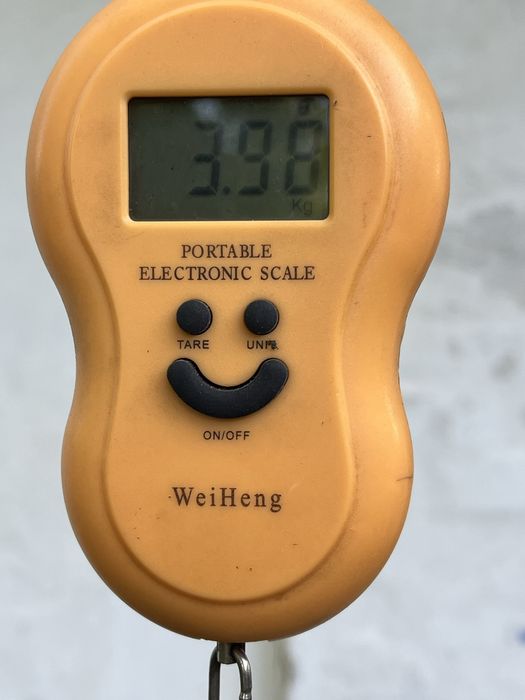 Вагові гирі 4 та 8 кг