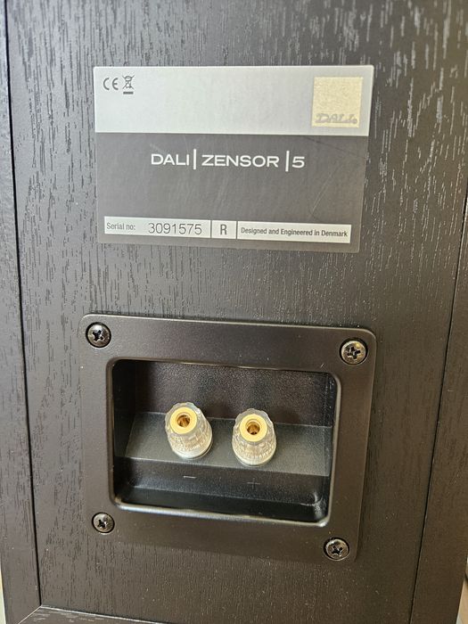 DALI ZRNSOR 5 Skandynawski Pazura!
