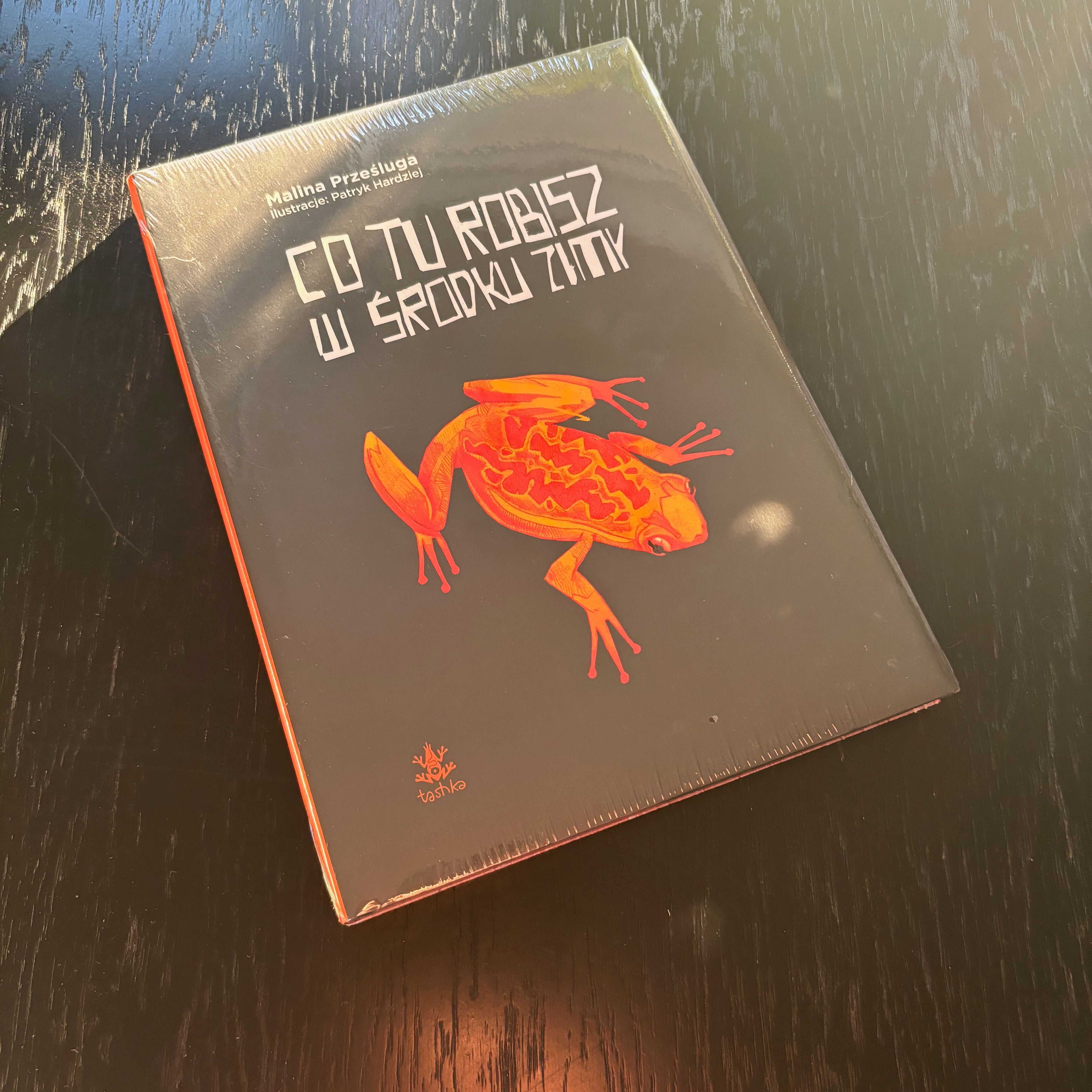 MALINA PRZEŚLUGA - Co tu robisz w środku zimy KOMIKS