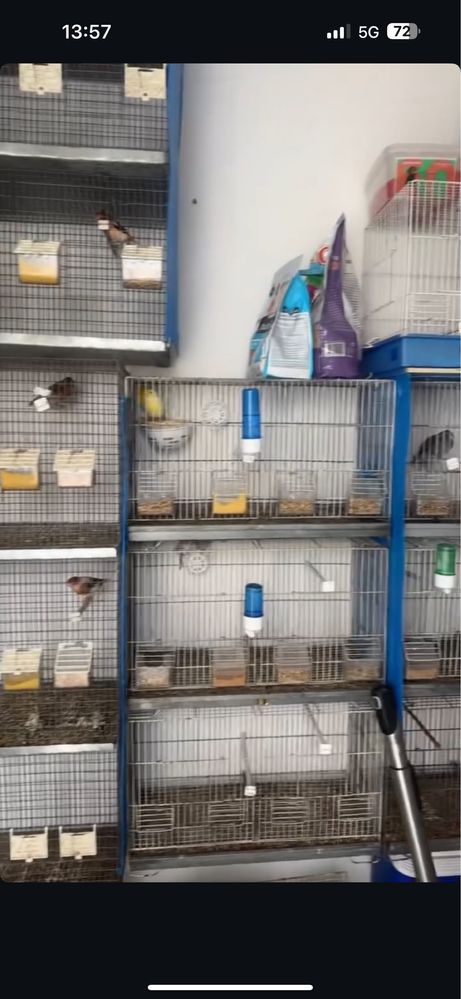 Varias gaiolas e modulos