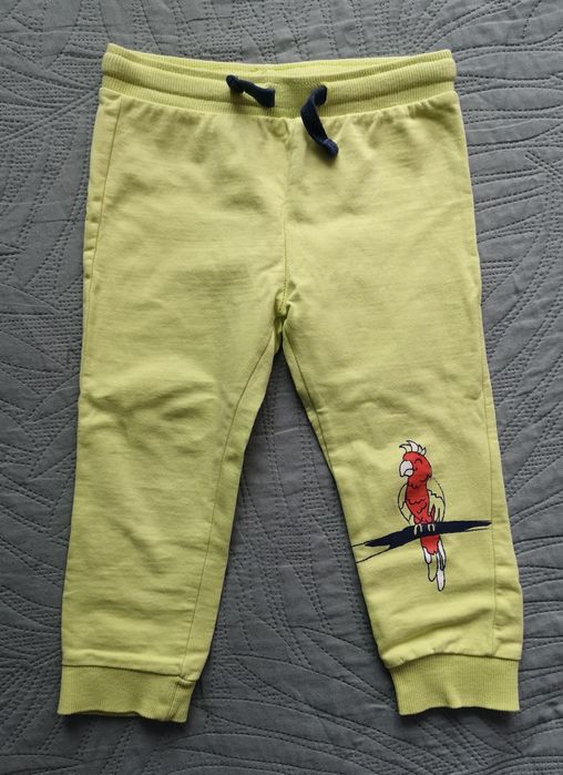 Spodnie dresowe 92cm papuga